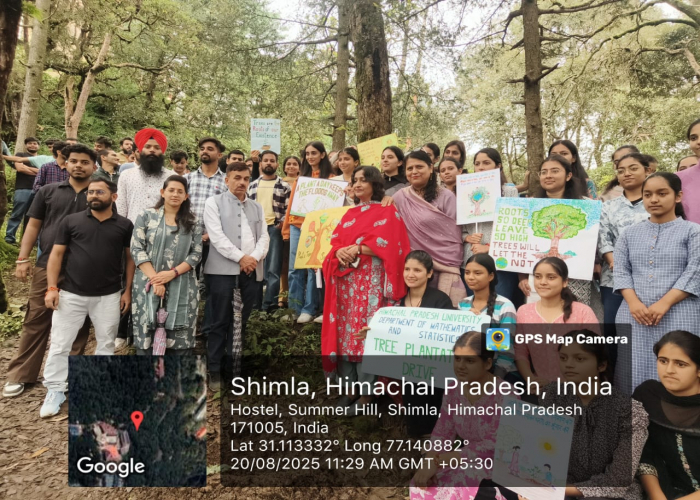 Tree Plantation Drive